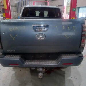 GWM, Cannon Ute Bonnet Hinge/Strut Bonnet Strut (Pair) Npw 09/20