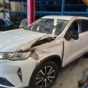 Haval, H6 Door Handle Rh Rear Outer B01 02/21