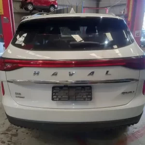 Haval, H6 Door Handle Rh Rear Outer B01 02/21