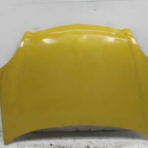Renault, Kangoo Bonnet X76 08/04 09/10