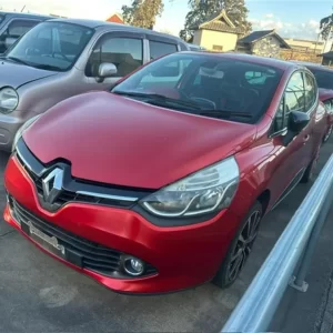 Renault, Clio Door Handle X98, Rh Rear, Outer, 09/13-10/19