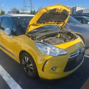 Citroen, DS3 Grille Bumper Grille, 04/10-12/16 J99880