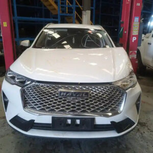 Haval, H6 Fan Radiator Fan 2.0 Petrol B01 02/21