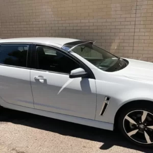 Holden Commodore VE-VF Mesh Windscreen Sunvisor