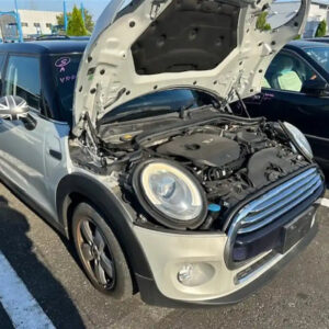 MINI, Cooper Bootlid/Tailgate Tailgate, F55, 04/14- J65932