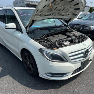 Mercedes, B Class Bonnet Hinge/Strut Hinges (Pair), W246, 11/14-02/19