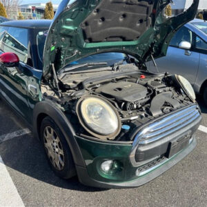 MINI, Cooper, Radiator Support F55/F56/F57, Radiator Support Assy (5 Pieces), 04/14-