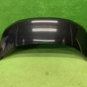 Mitsubishi, Delica Bonnet 5Th Gen 07- (Import)