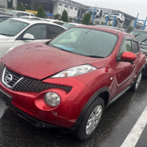 Nissan, Juke Radiator Support F15, 06/10-12/19